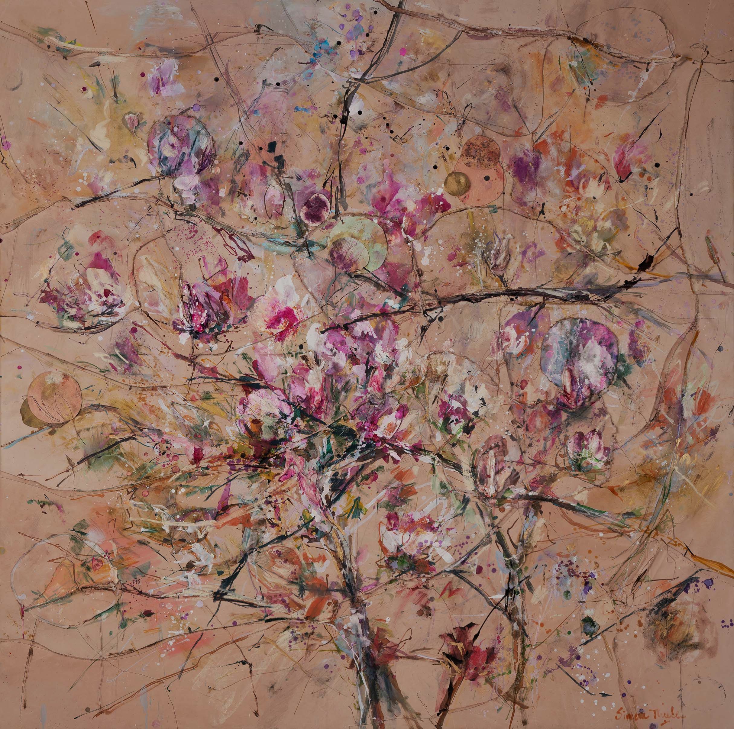 Magnolia Explosion 150 x 150